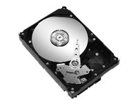 Seagate Desktop HDD ST380815AS - Disque dur - 80 Go - interne - 3.5" - SATA 3Gb/s - 7200 tours/min - mémoire tampon : 8 Mo