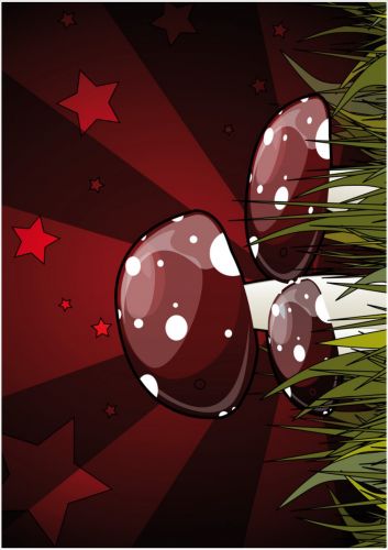 Gs cadre plexi 21x29 cm champignons étoiles