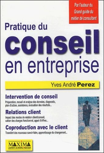 Pratique Du Conseil En Entreprise