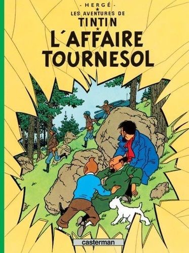 Les Aventures De Tintin Tome 18 - L'affaire Tournesol