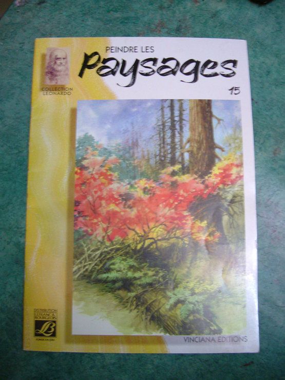 Peindre N° 15 : Les paysages