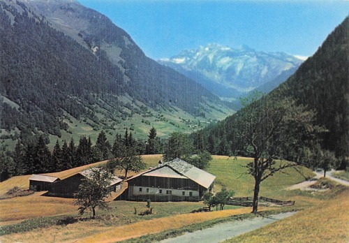 Morzine les dents blanches - les,