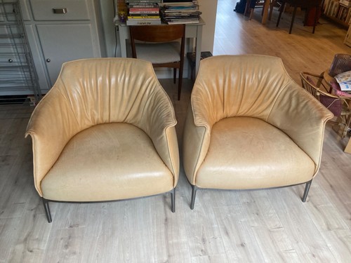Fauteuils cuir archibald - cuir,