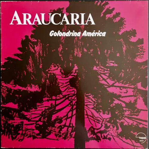 Araucaria golondrina américa - araucaria,