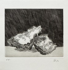 Pierre SKIRA / Hand signed and