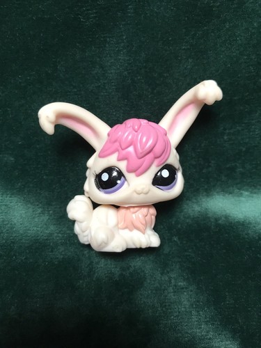 Petshop lapin angora - 💖🌺,