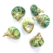 Un Pendentif Coquillage véritable, Cordon inclus, Collier Homme ou Femme