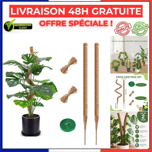 Tuteur monstera lot de 2 - tuteur, cm