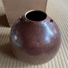 Vase, poterie, fleur Iru