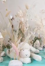 H/ Moulin Roty Les Tout Doux