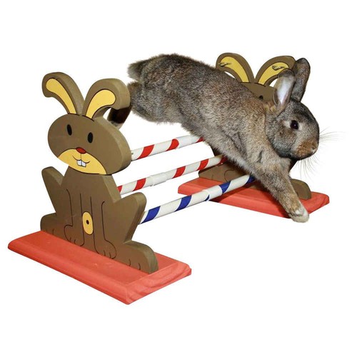 Obstacle agility kaninhop - obstacle,