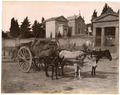Italie transport attelage - italie,,