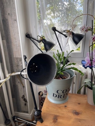 Lampe ajustable gras - ajustable,