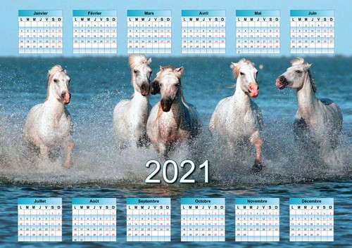 Calendrier 2026 cheval - 2026,