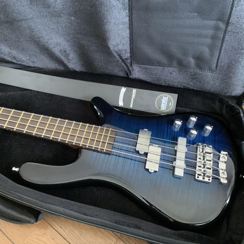 Warwick custom masterbuild - custom,