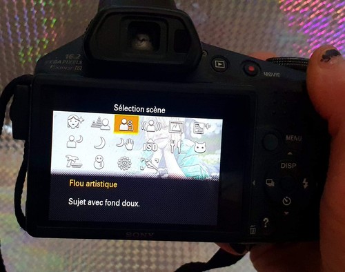 Appareil photo sony 100v - hx,
