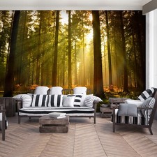 Papier Peint XXL Forêt Non Tissé Murale Facile À Installer Adhésif GRATUIT