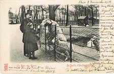 CPA PARIS -Le Jardin d'Acclimatation - Le Parc des Boucs- Enfant-v 1902