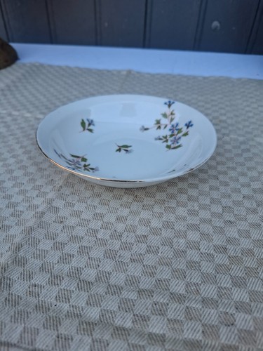 Plat petit modele - petit,