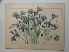 J.HABERT-DYS PLANCHE