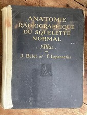 Anatomie radiographique du