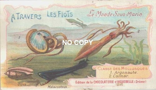 Chromo chocolat aiguebelle - chocolat,