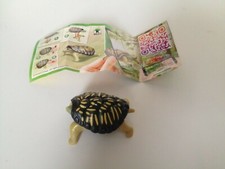  KINDER NATOONS LA TORTUE