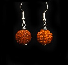 Boucles D'oreilles Larmes De Shiva Protection Aura 13mm Rudraksha Seed Earrings