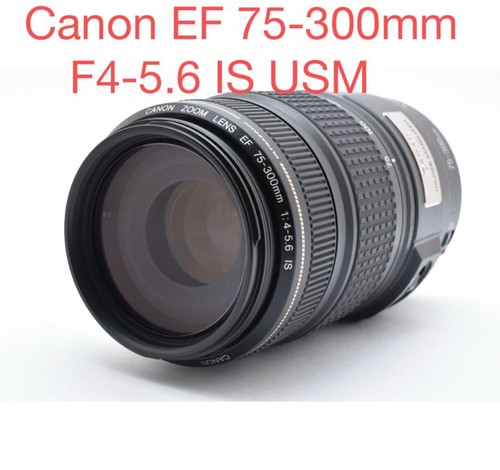 Objectif canon 300mm - ef, 75-300mm