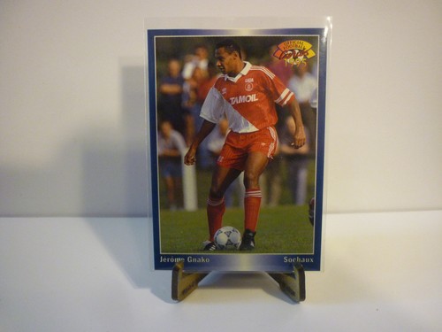 Carte foot panini - panini, official
