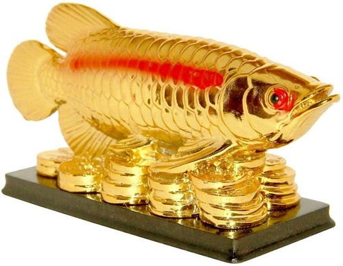 Vastu feng shui arowana - &,