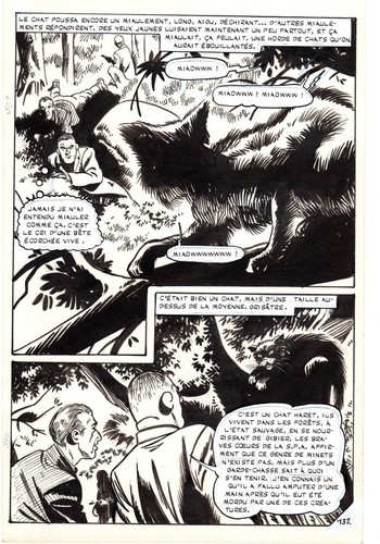 Gaze pour petitjean planche - gaze,