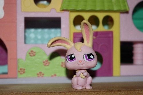 Petshop lapin garenne lps - lapin,