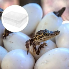  Incubateur d'œuf à reptiles 2pcs 16 trous boîte à écloserie pour hachures gecko