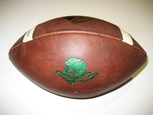 2014 oregon ducks puddles game - oregon,