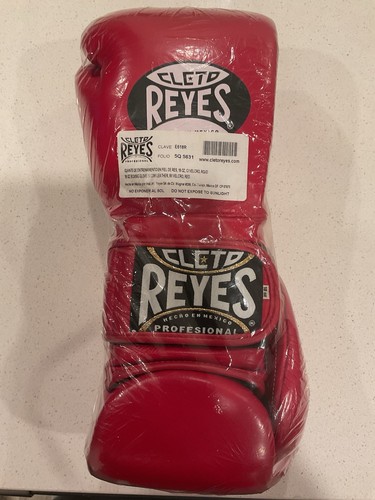 Cleto reyes sparring boxing - reyes,