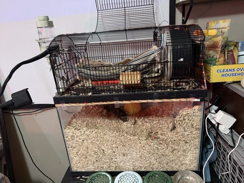 Large hamster cage habitat - cage, w/