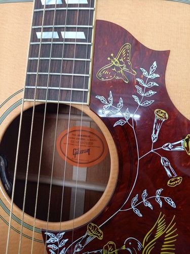 Guitare folk electro - guitare,