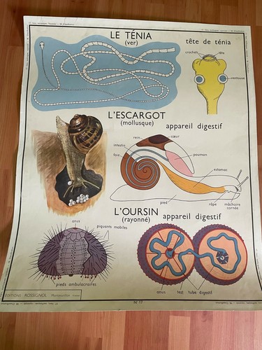 Carte scolaire editions - carte,