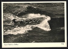 AK Marins Dans Un Canot Ramer