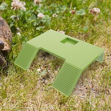  Piscine Pour Tortue De Terre