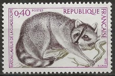 N° 1754**  LE RATON LAVEUR DE LA GUADELOUPE