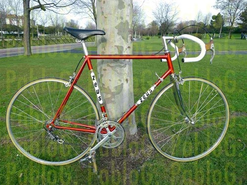 Zeus nerwig classique kit - zeus,