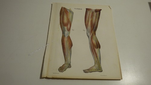 1850 lithographie couleur - 1850.lithographie,
