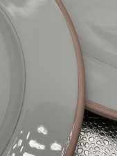 6 ASSIETTES PLATES D 26 cm PORCELAINE APILCO FESTIVAL PECHE FILETS ROSES