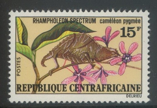 Central africa 1973 - central, mnh**