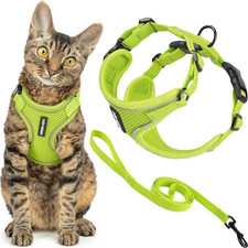 Best Pet Supplies Voyager