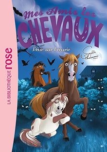 Mes amis les - chevaux., 11