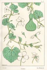 Eugene Grasset Pl. 13 Style