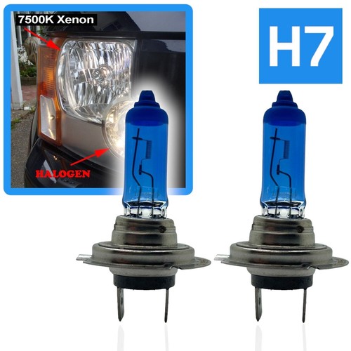 Ampoules phare xenon h7 - ampoules,